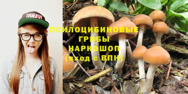 экстази Заводоуковск