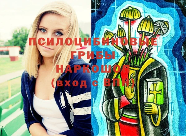 экстази Заводоуковск