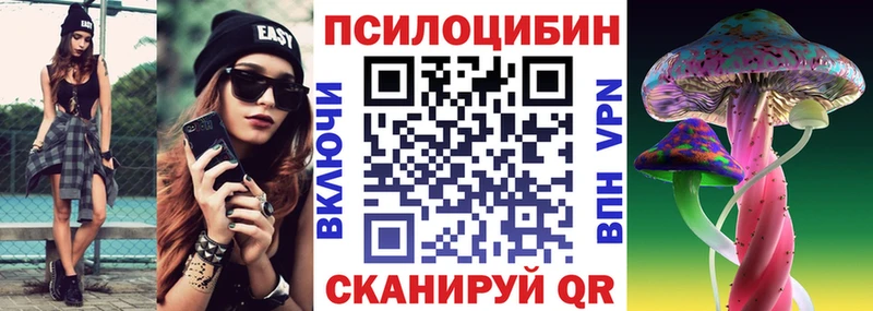 Псилоцибиновые грибы Psilocybe Питкяранта