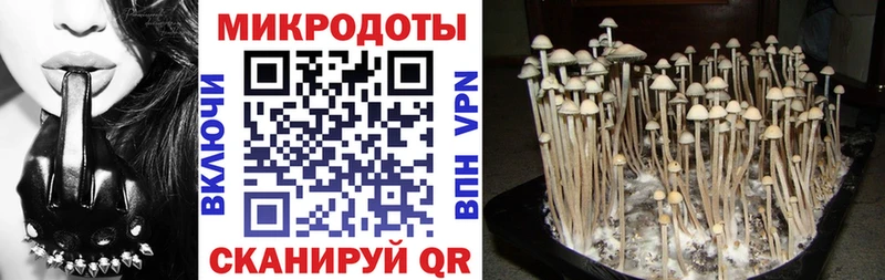 Псилоцибиновые грибы ЛСД  Питкяранта 